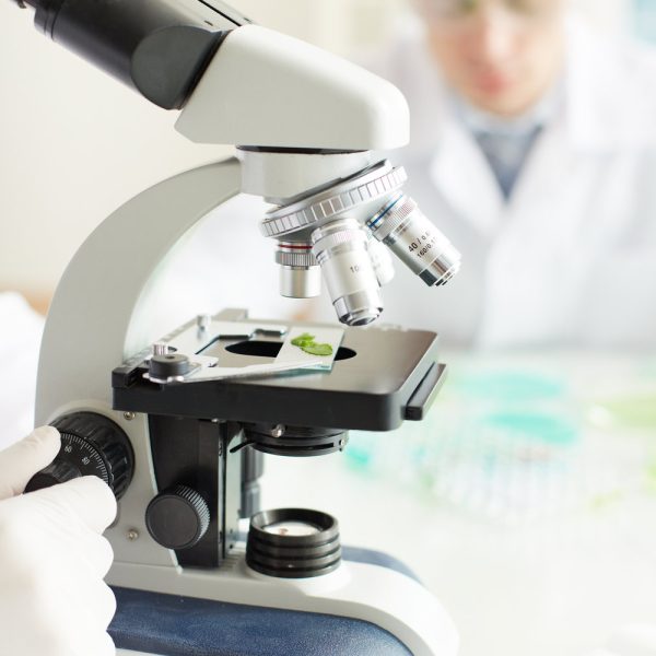 Male clinician studying bio sample in microscope