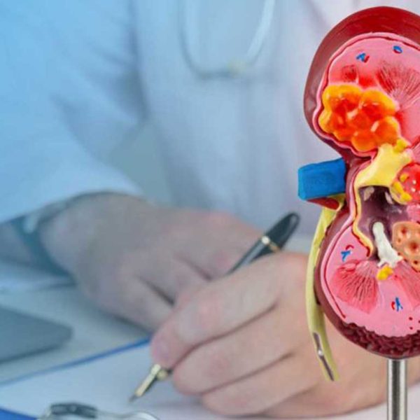 Nephrology-Billing-Codes-Best-Practices-1