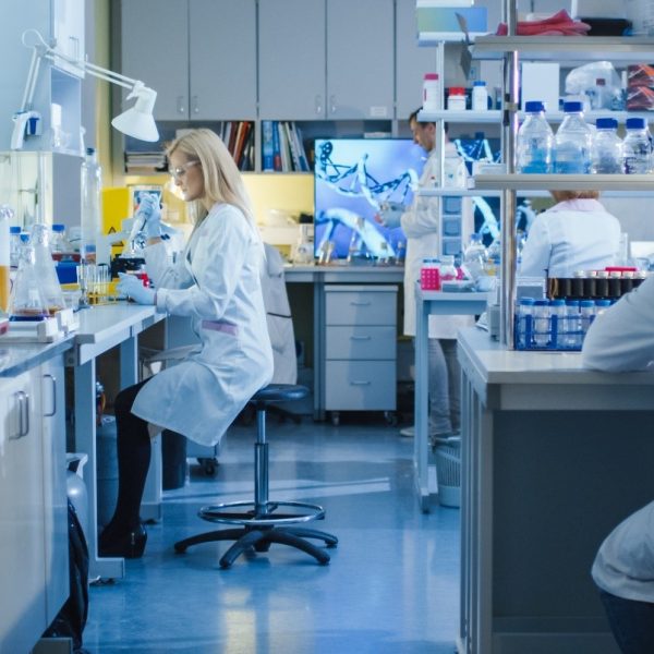 lab